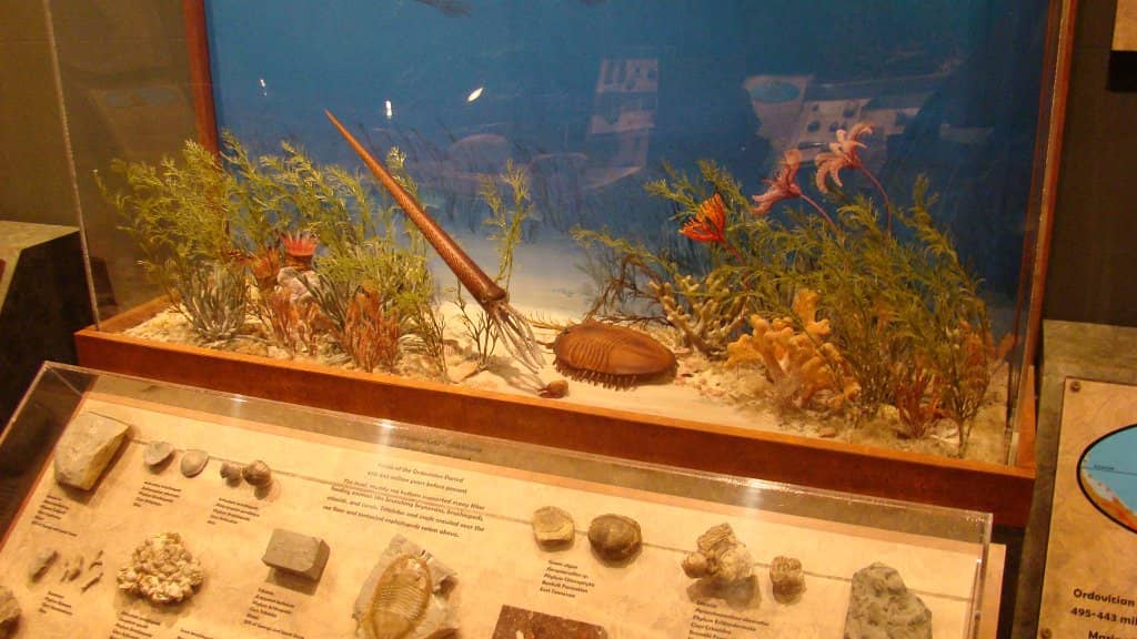 Ancient Egyptian Hall