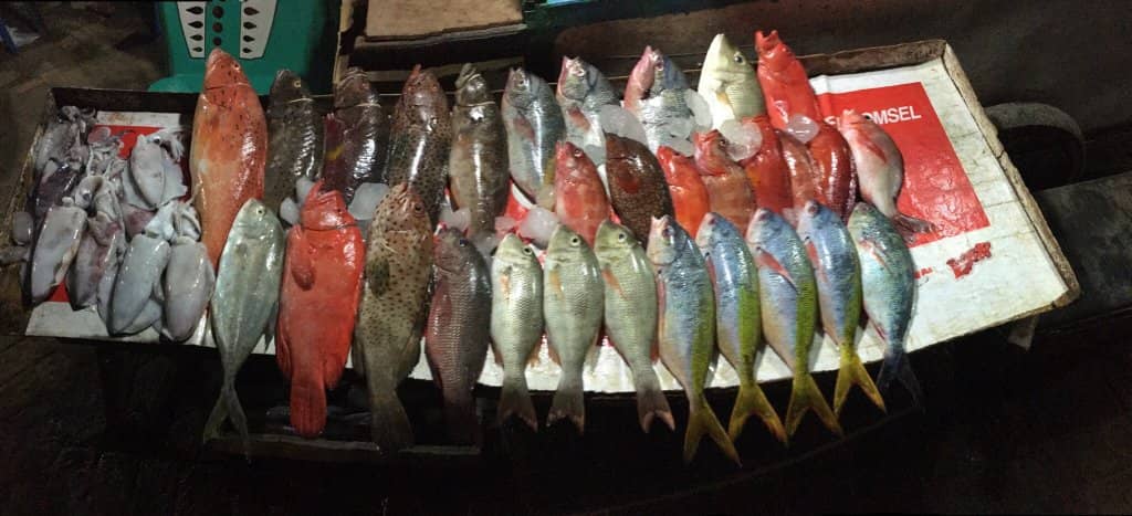 Diverse Seafood Selection