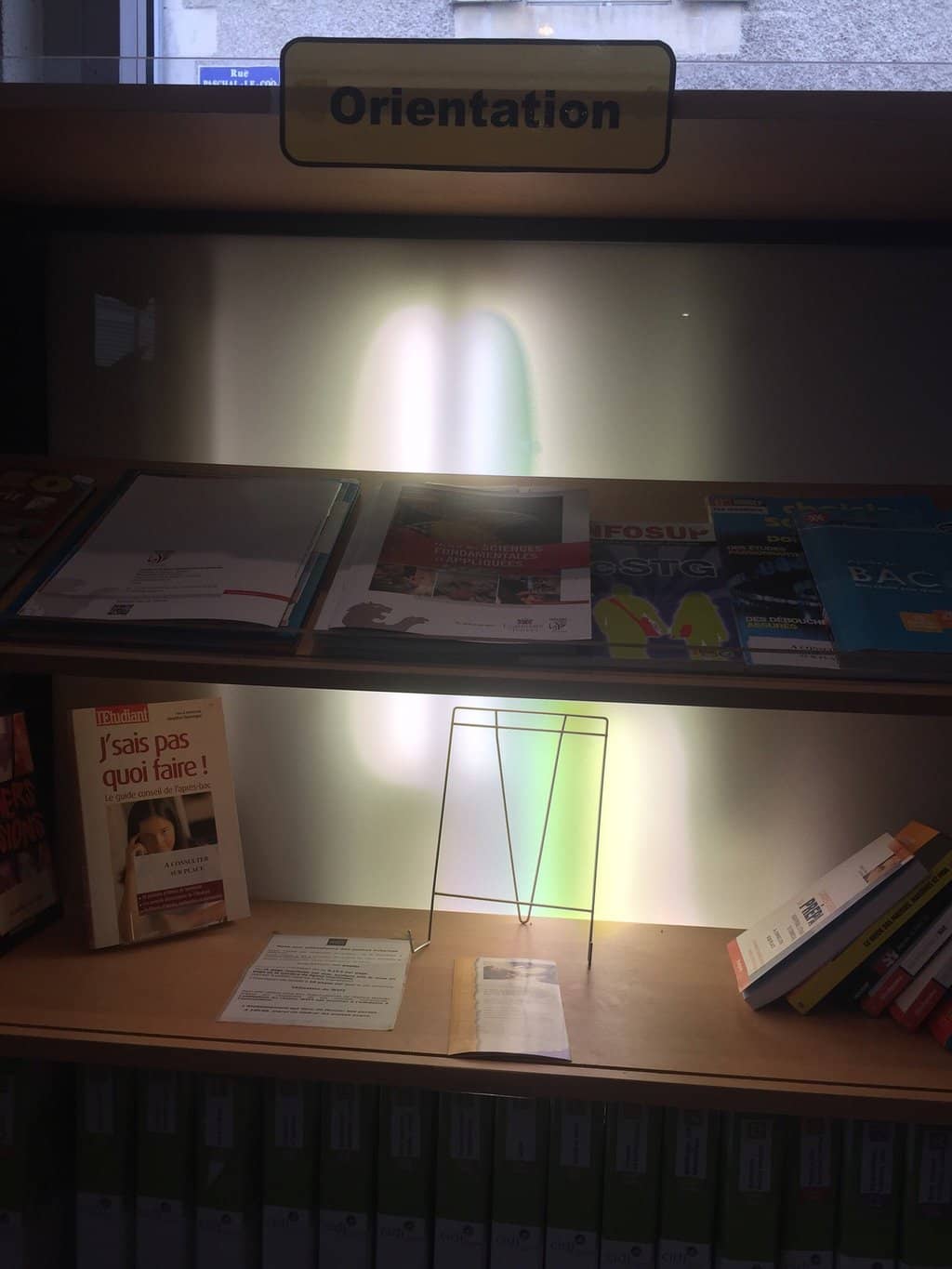 Educational Workshops