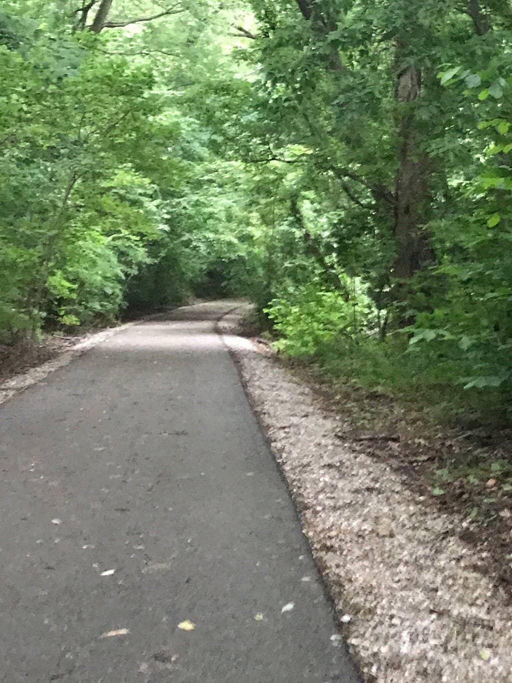 Halloween Illuminations