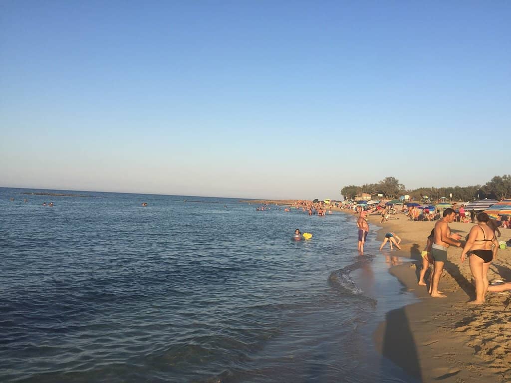 Sandy Dunes and Pine Trees