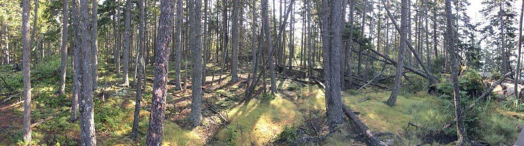 Rocky Shoreline Exploration