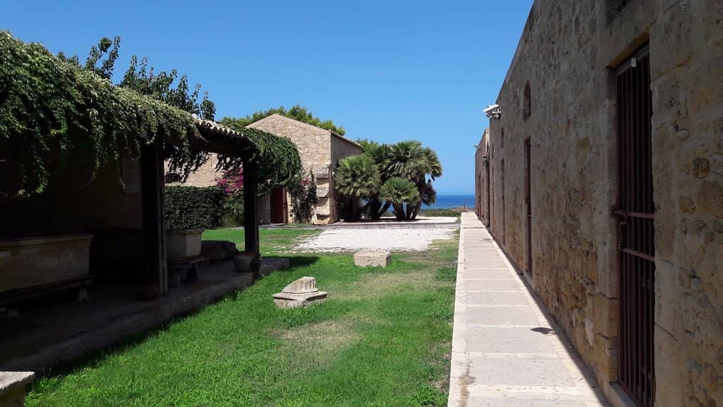 Passionate Archaeologist's Vision