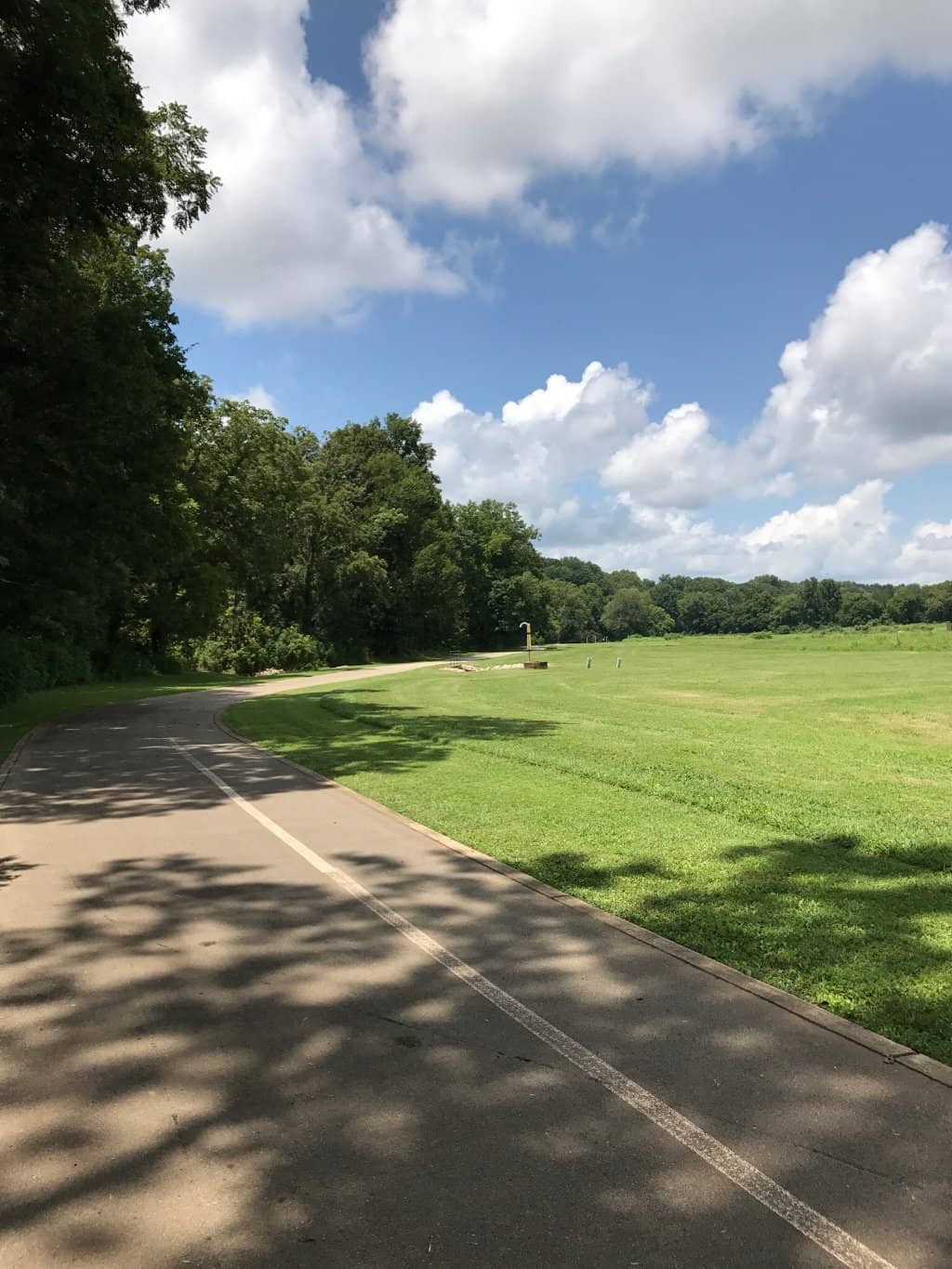 Fenced-In Playground