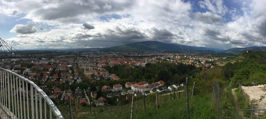 Vineyard-Covered Slopes