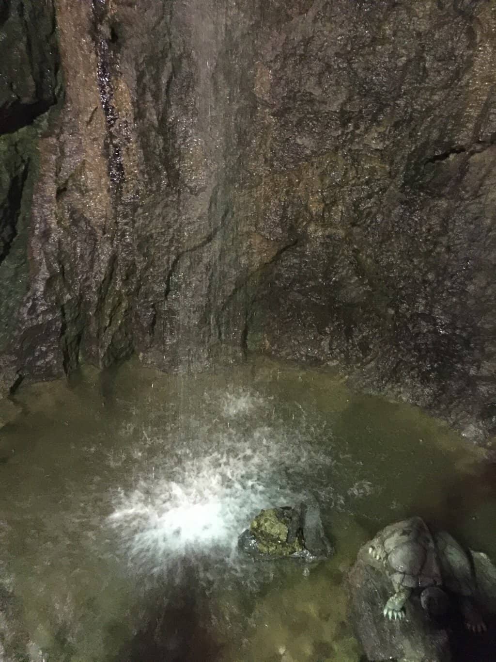 "Leaning Tower of Pisa"