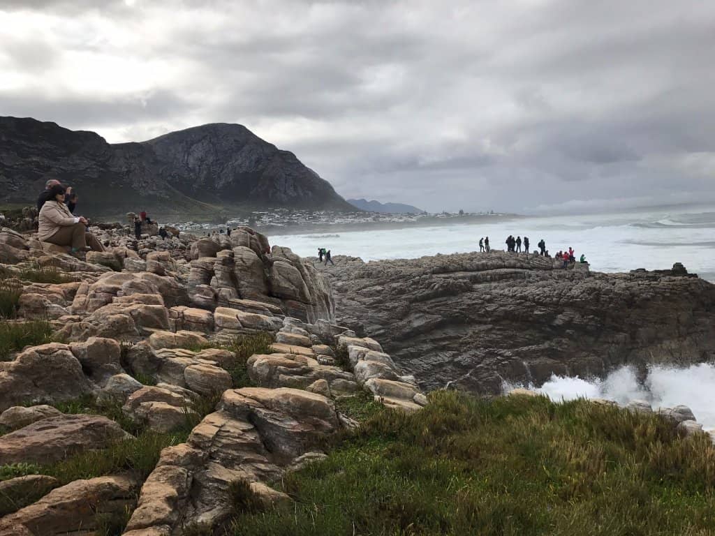 Whale Watching from Shore