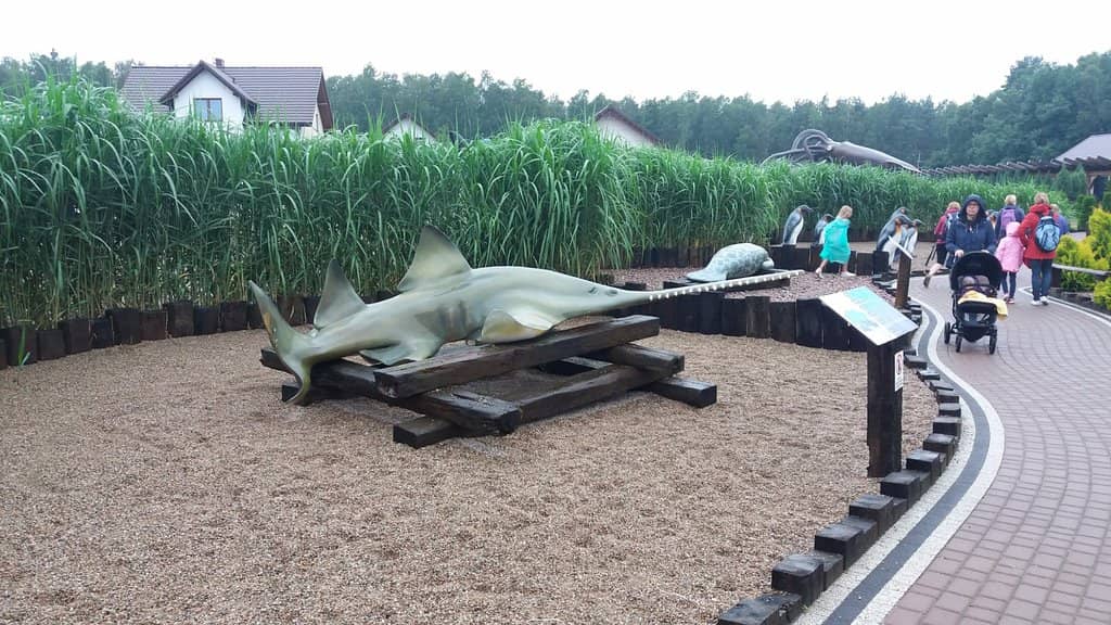 Pirate-Themed Playground