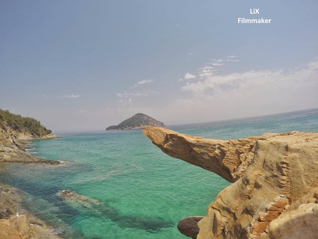 Lush Green Surroundings