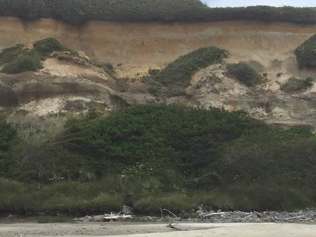 Secluded Beach Exploration