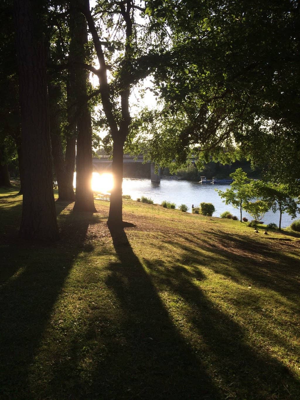Kids' Spray Park & Playground