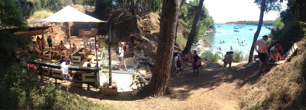 Shaded Pine Woodlands