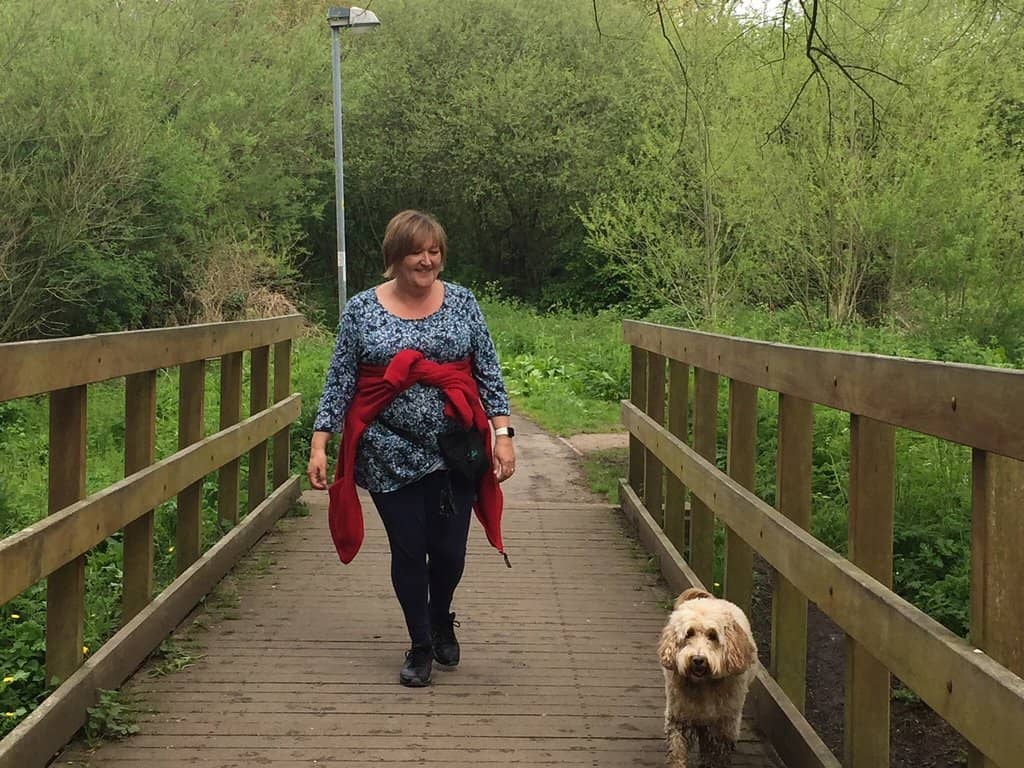 Woodland Sculptures & Bridges