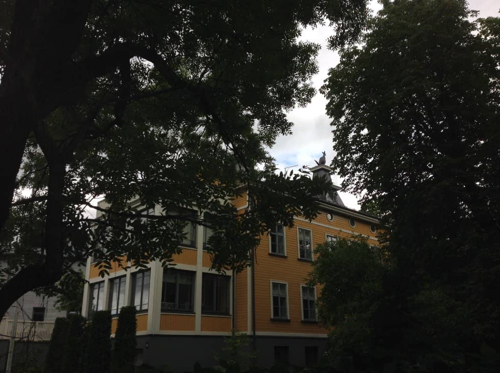 Kangaroo on the Roof