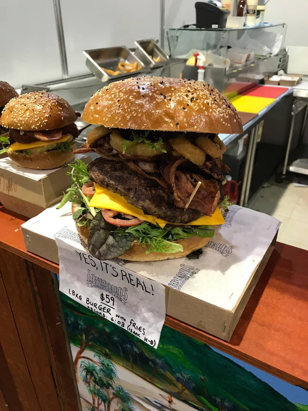 Plant House Evenings