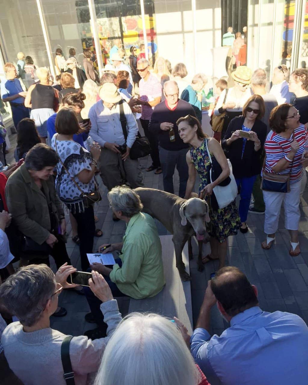 Cutting-Edge Exhibitions