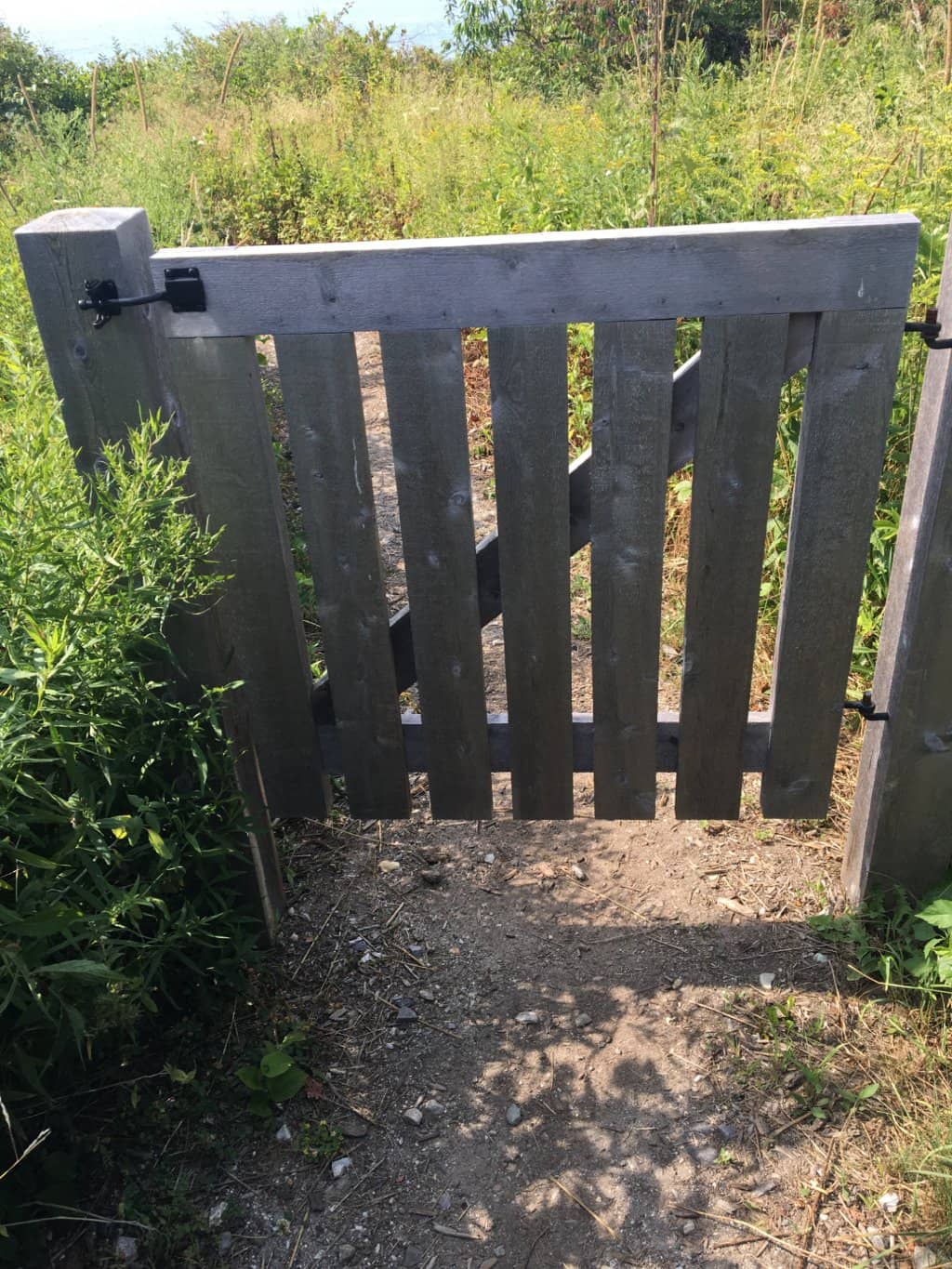 Dramatic Coastal Views