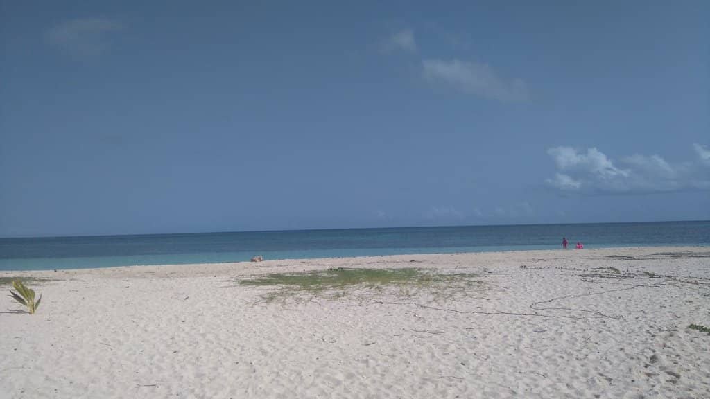 Snorkeling with Sea Turtles