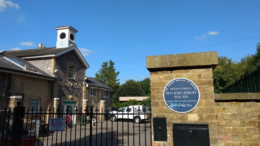 Felled Tree Trunk Walk
