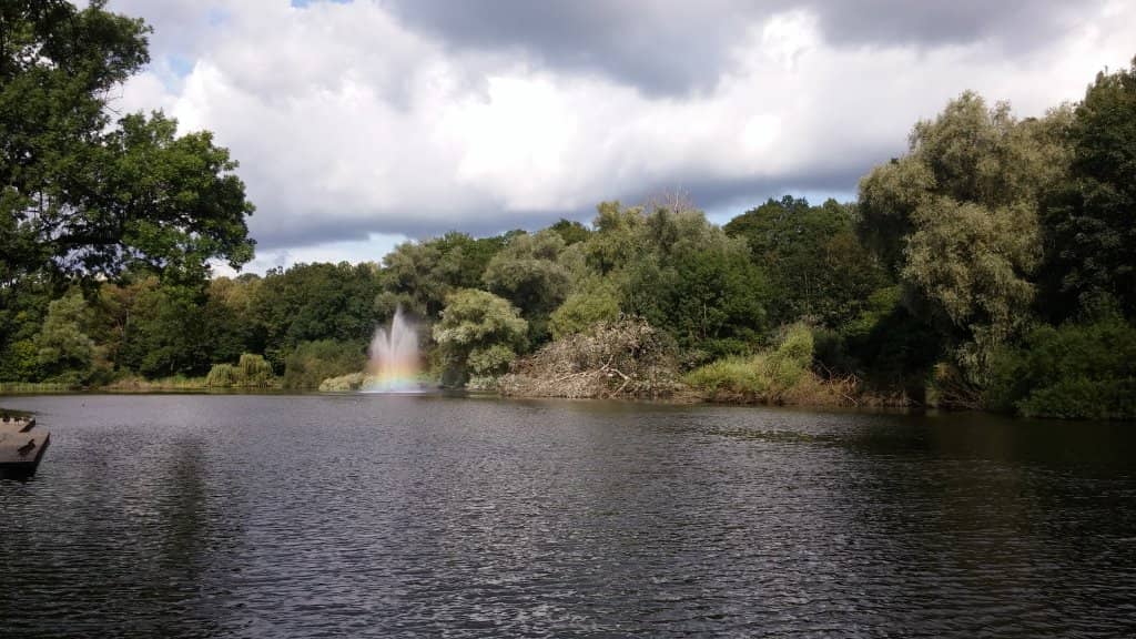 Rose Garden (Ogród Różany)
