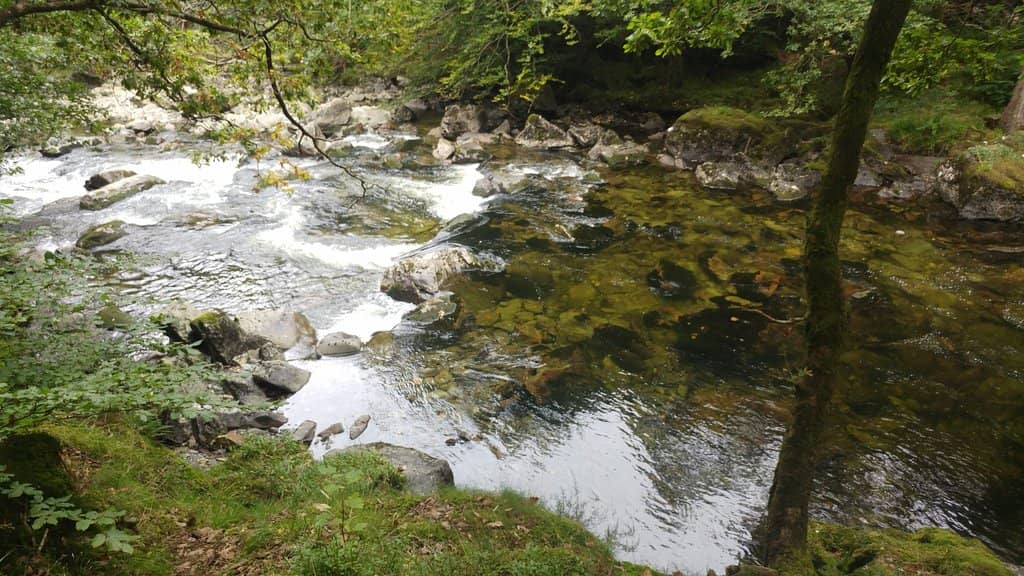 Dramatic Gorge Views