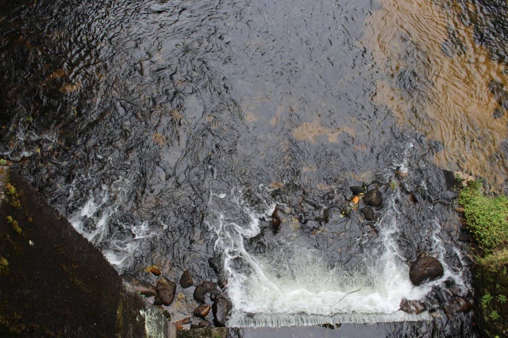 Architectural Design and Nature Integration