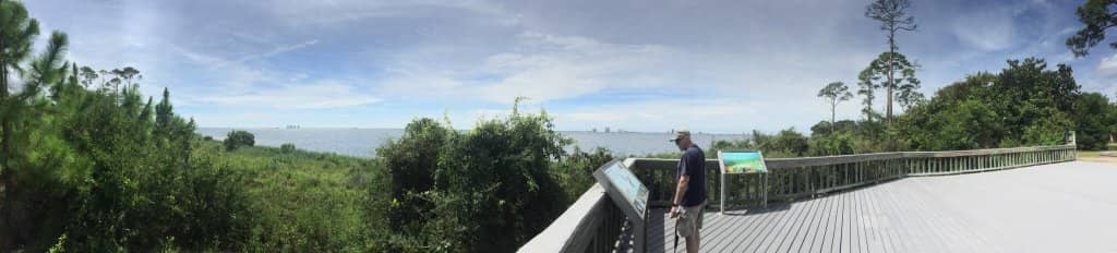 Vertical photo