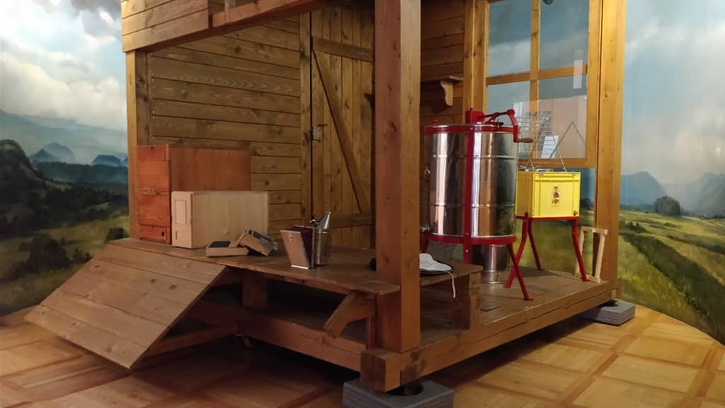 Interactive Exhibits