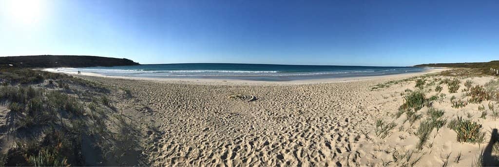 Prehistoric Coral Reefs