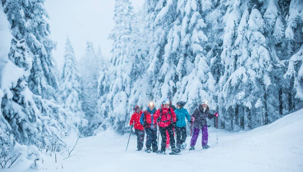 Panoramic Tower Views
