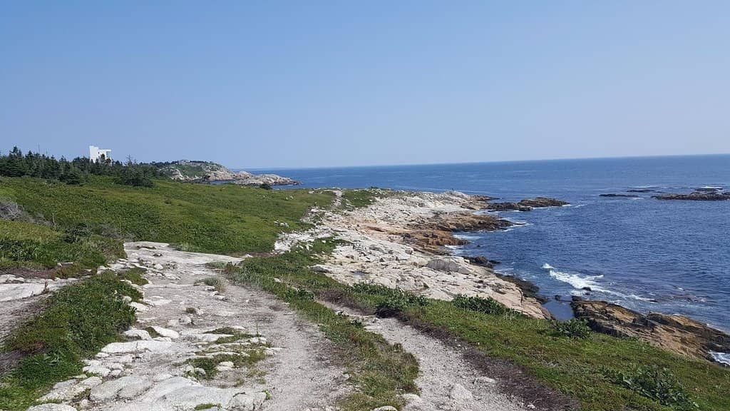 Rugged Coastal Cliffs