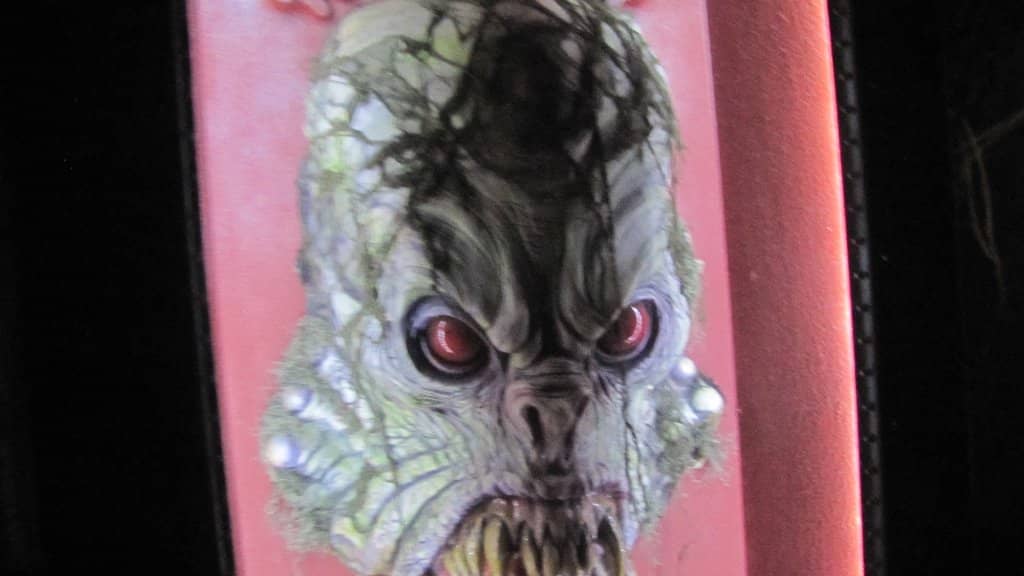 Rafting and Water Slides