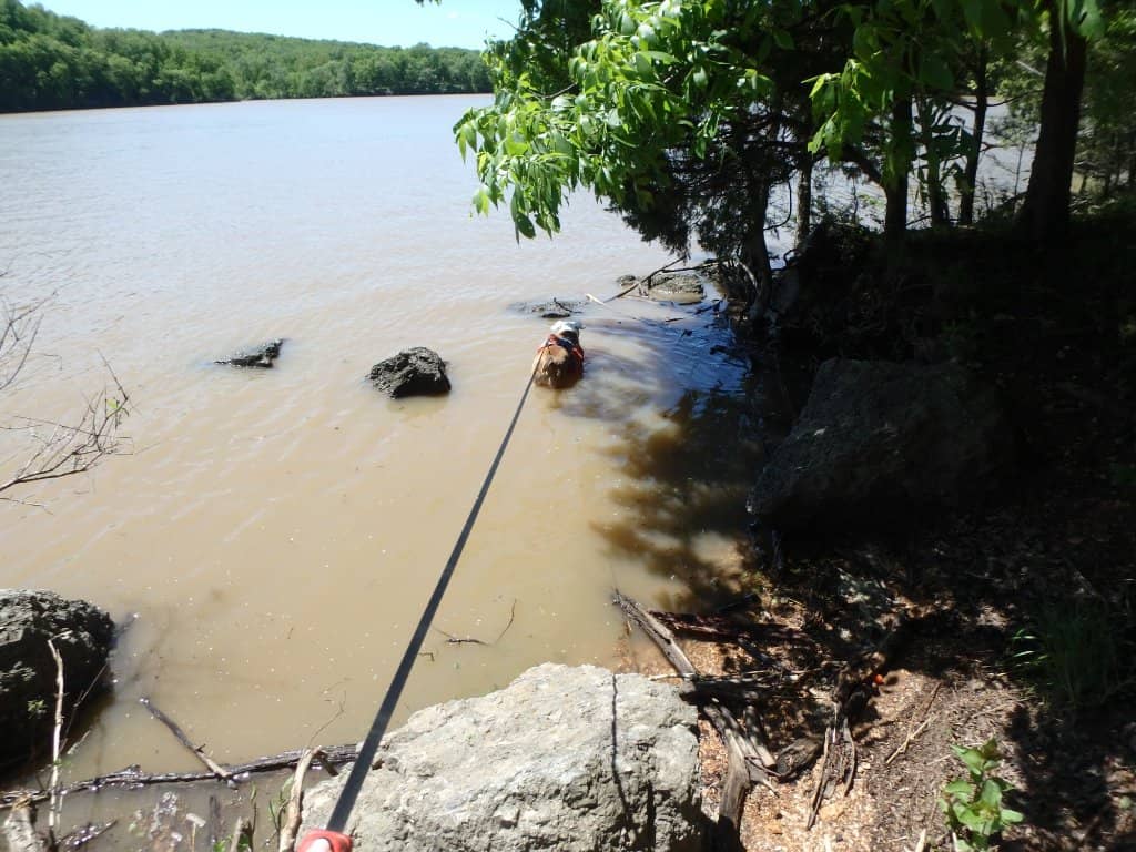 Scenic Hiking Trails