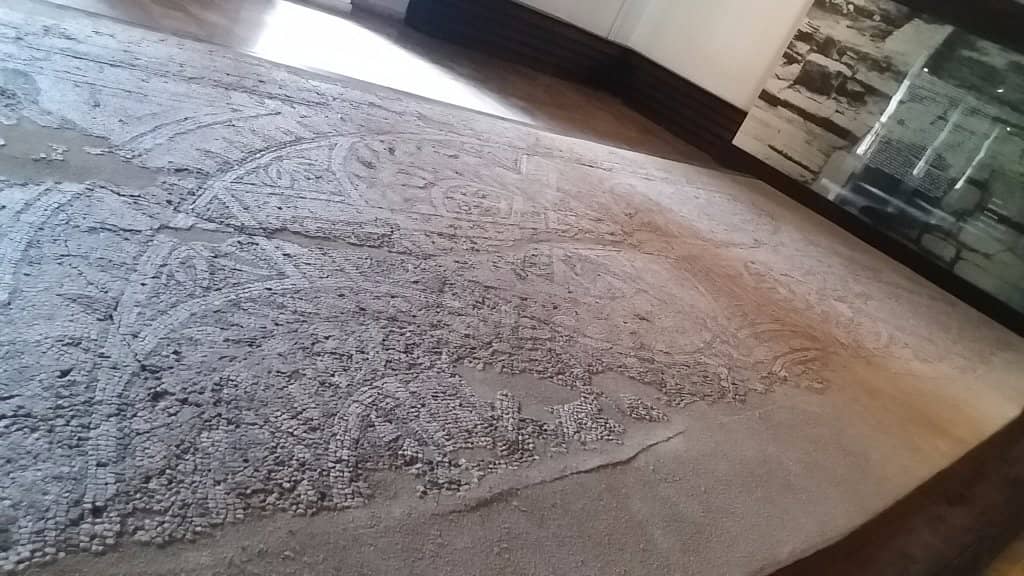 Museum Built Over Site