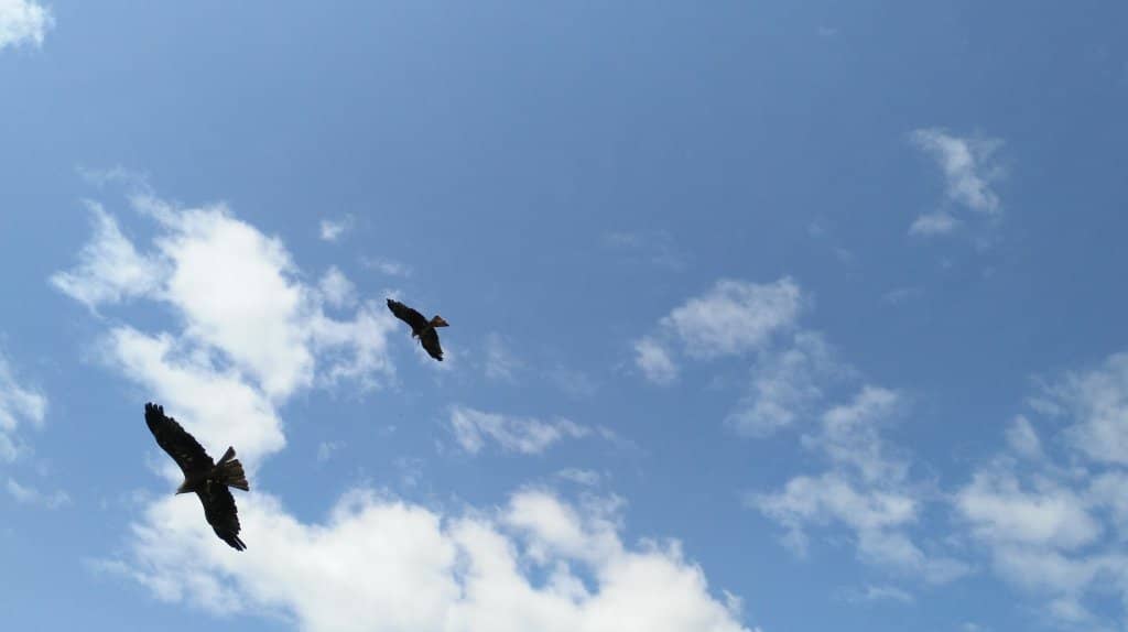 Medieval Castle Atmosphere