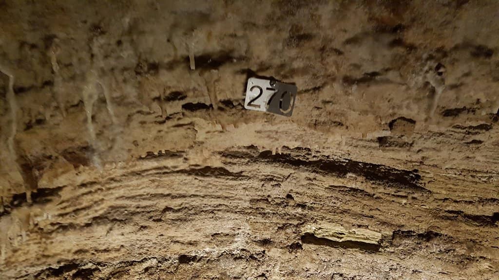 Panoramic Island Views