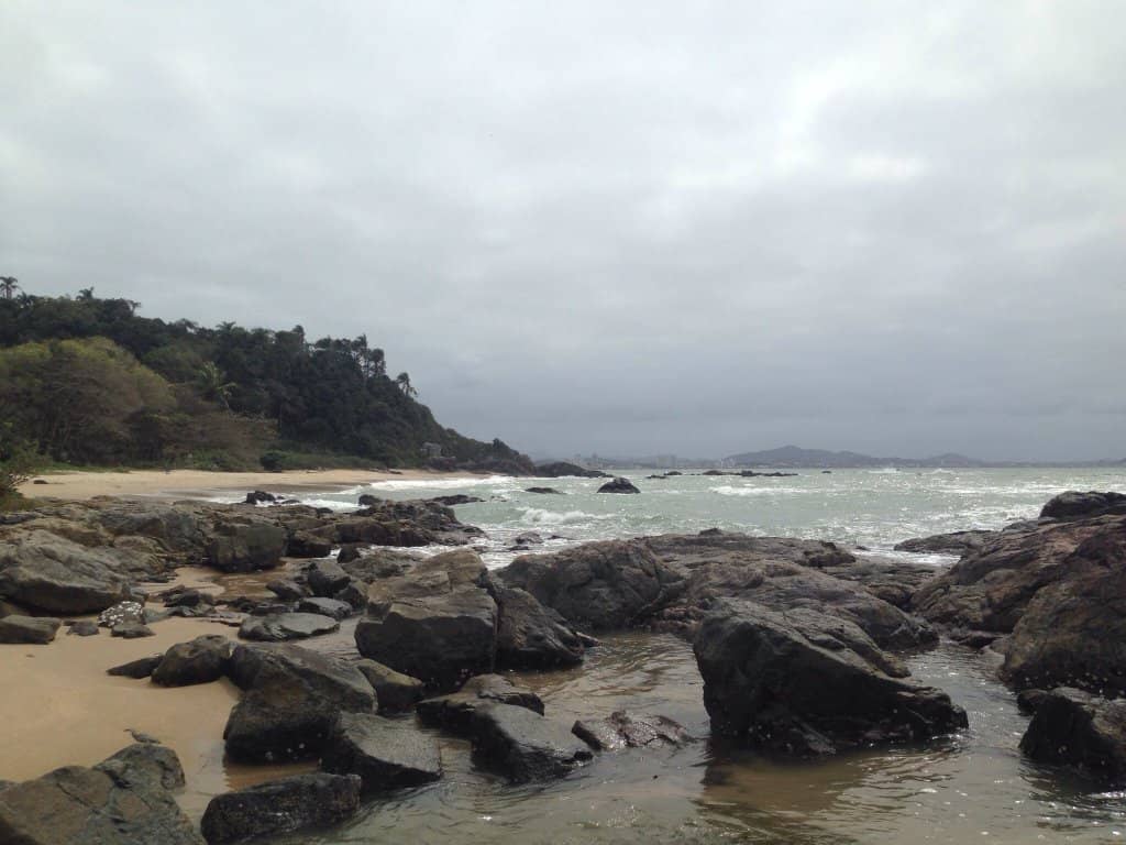 Shady Tree-Lined Shore