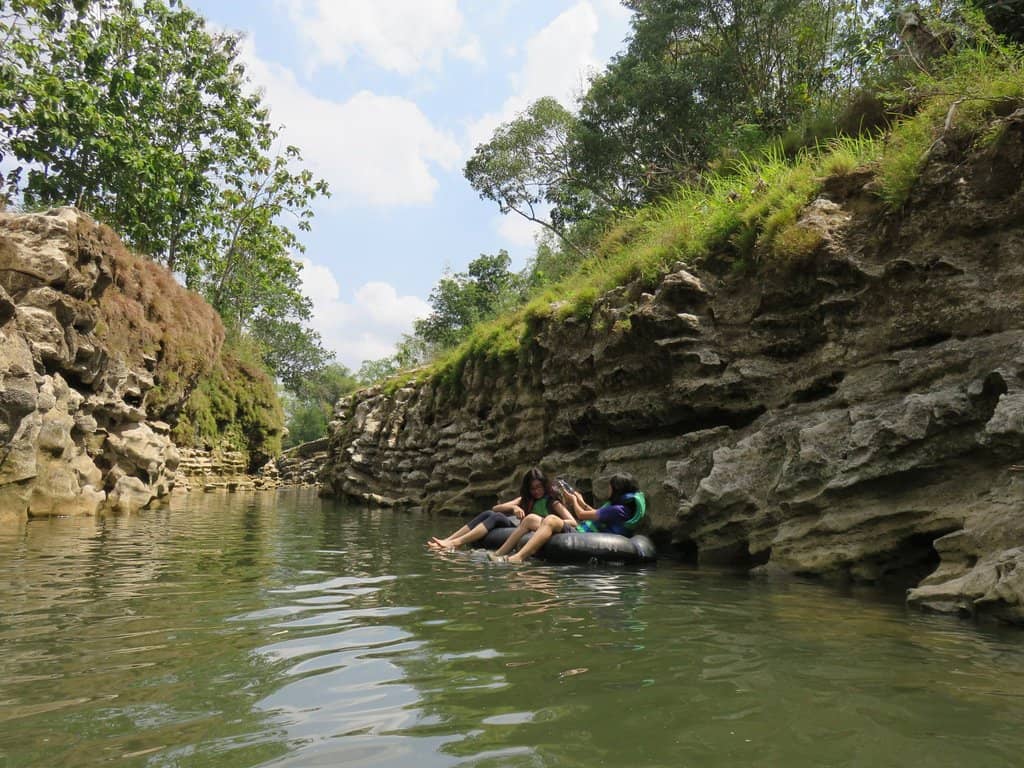 Jeep Tour through White Eucalyptus Fields