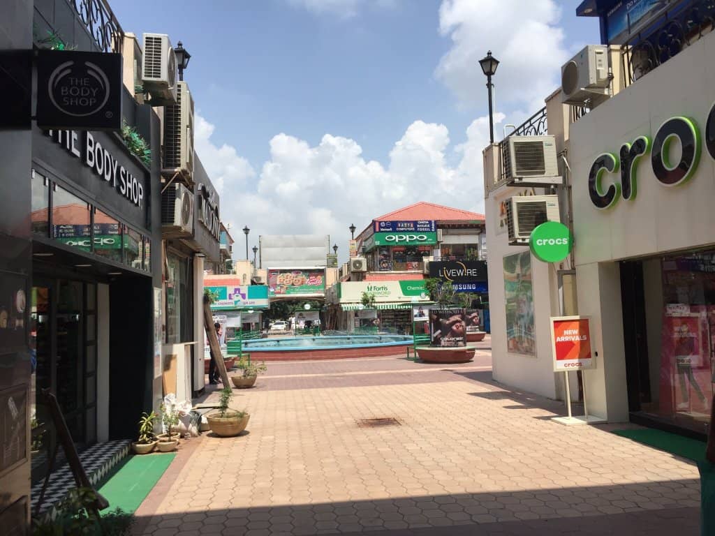 Diverse Culinary Delights