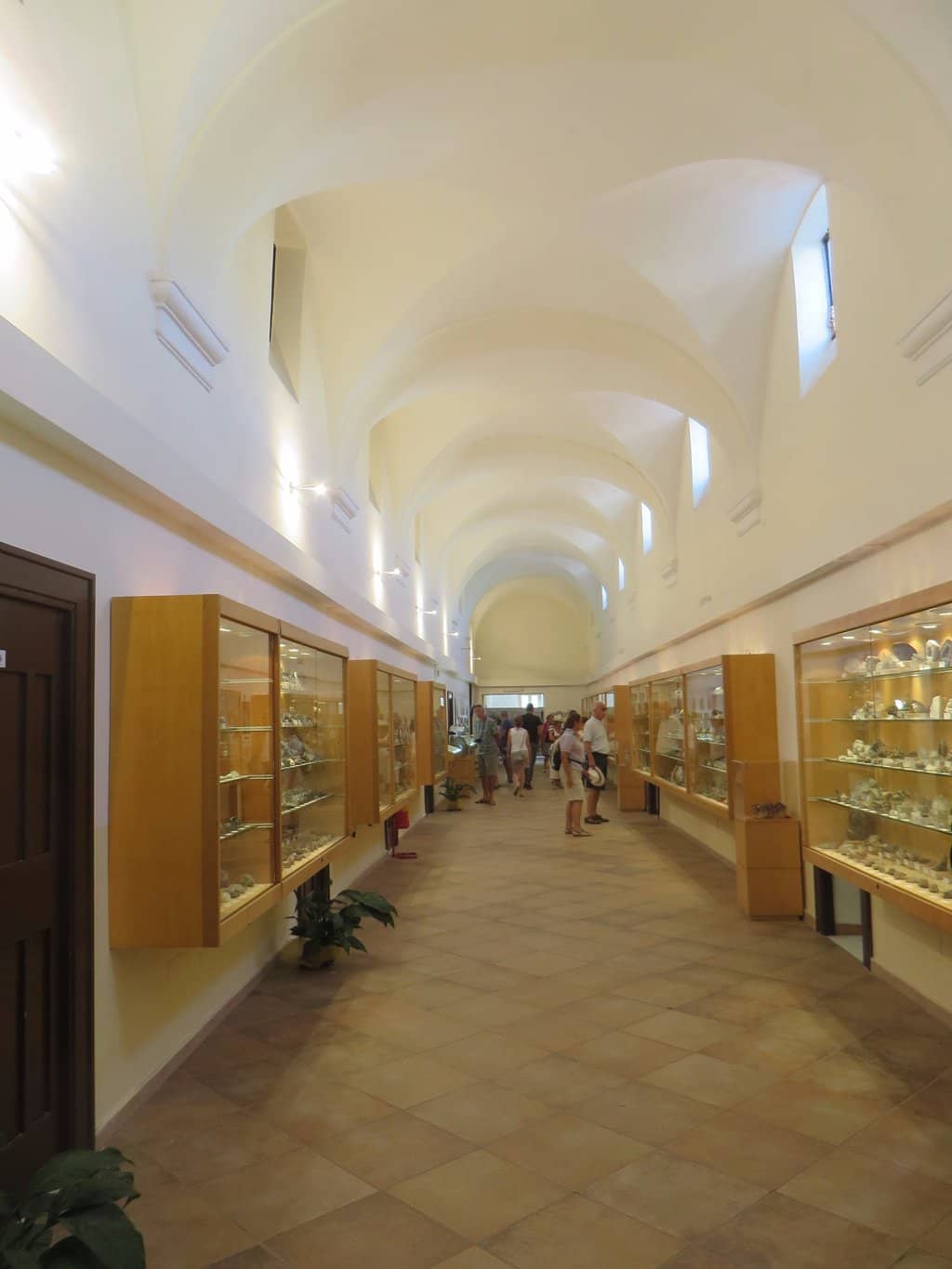 Global Mineral & Fossil Displays