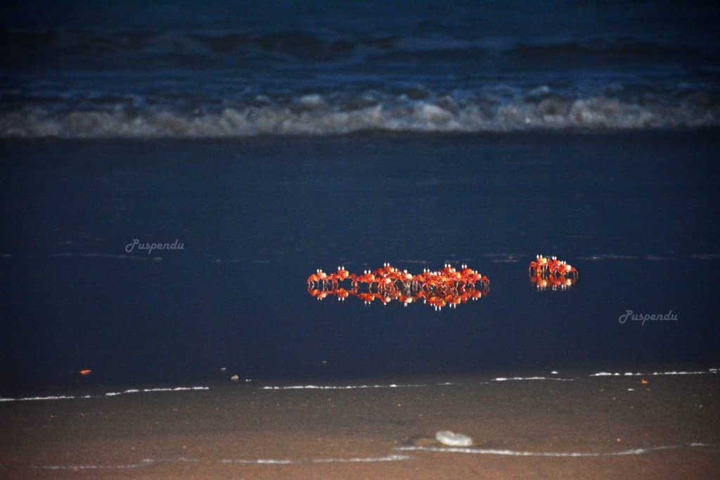 Driveway Along the Beach
