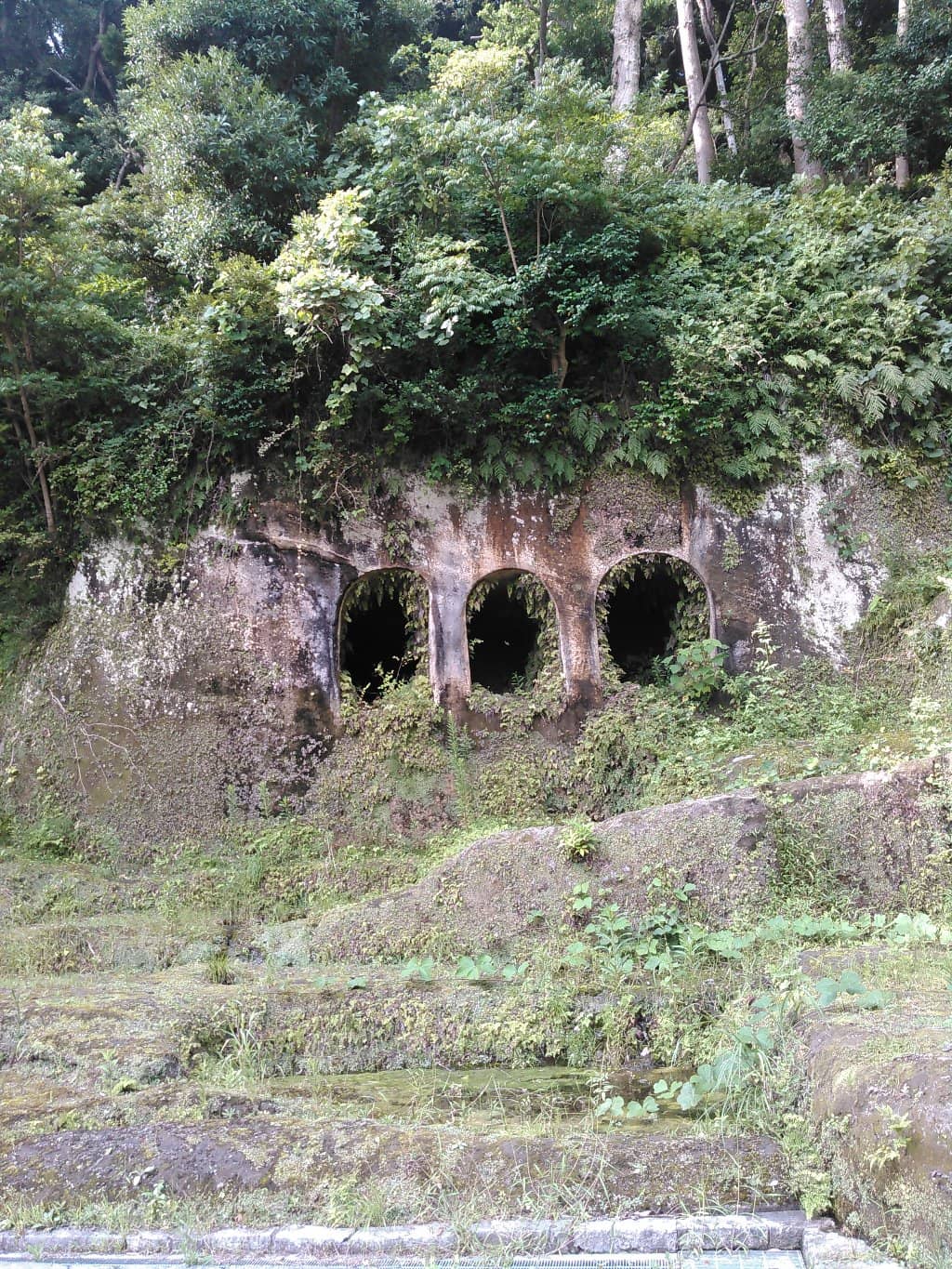 Vertical photo