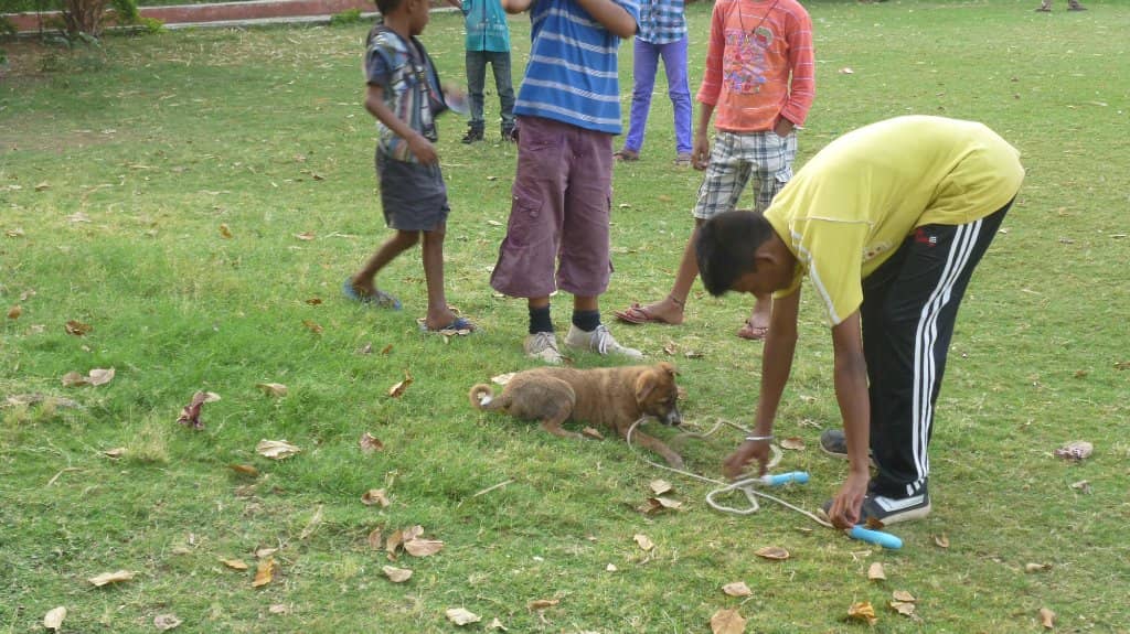 Mahatma Gandhi Statue