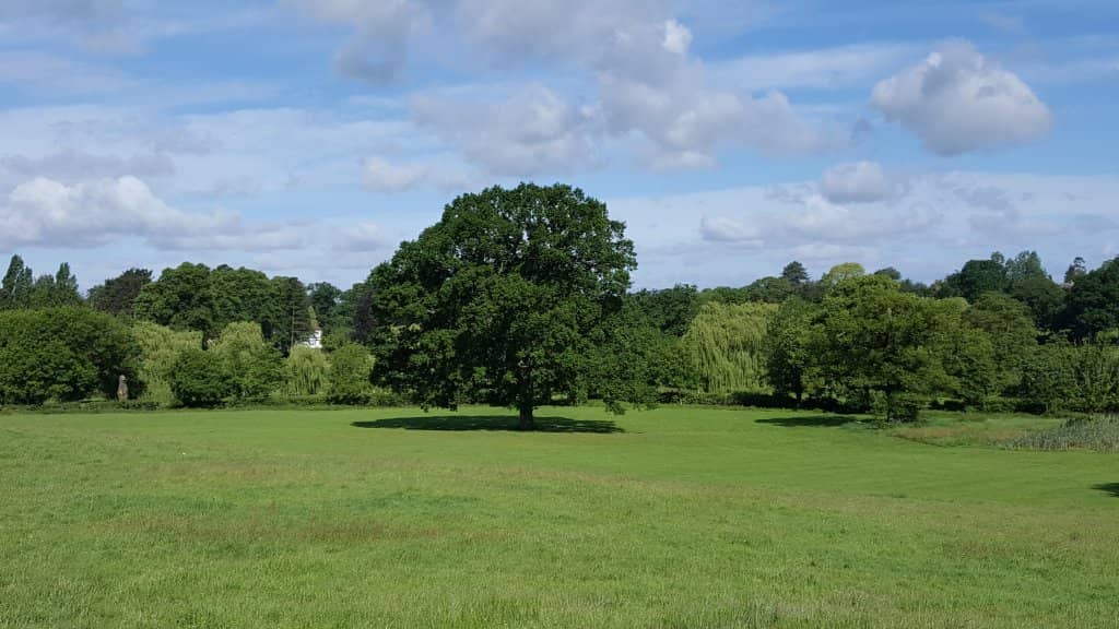 Children's Playground