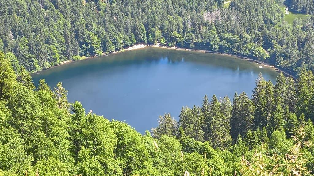 Lakeside Hiking Trails