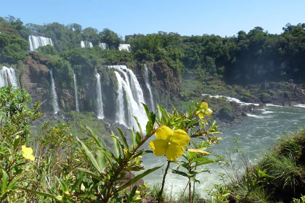 Boating on the River