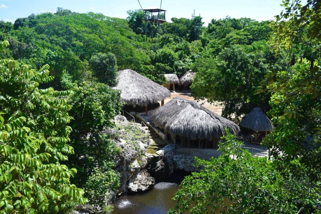 Zipline Thrills