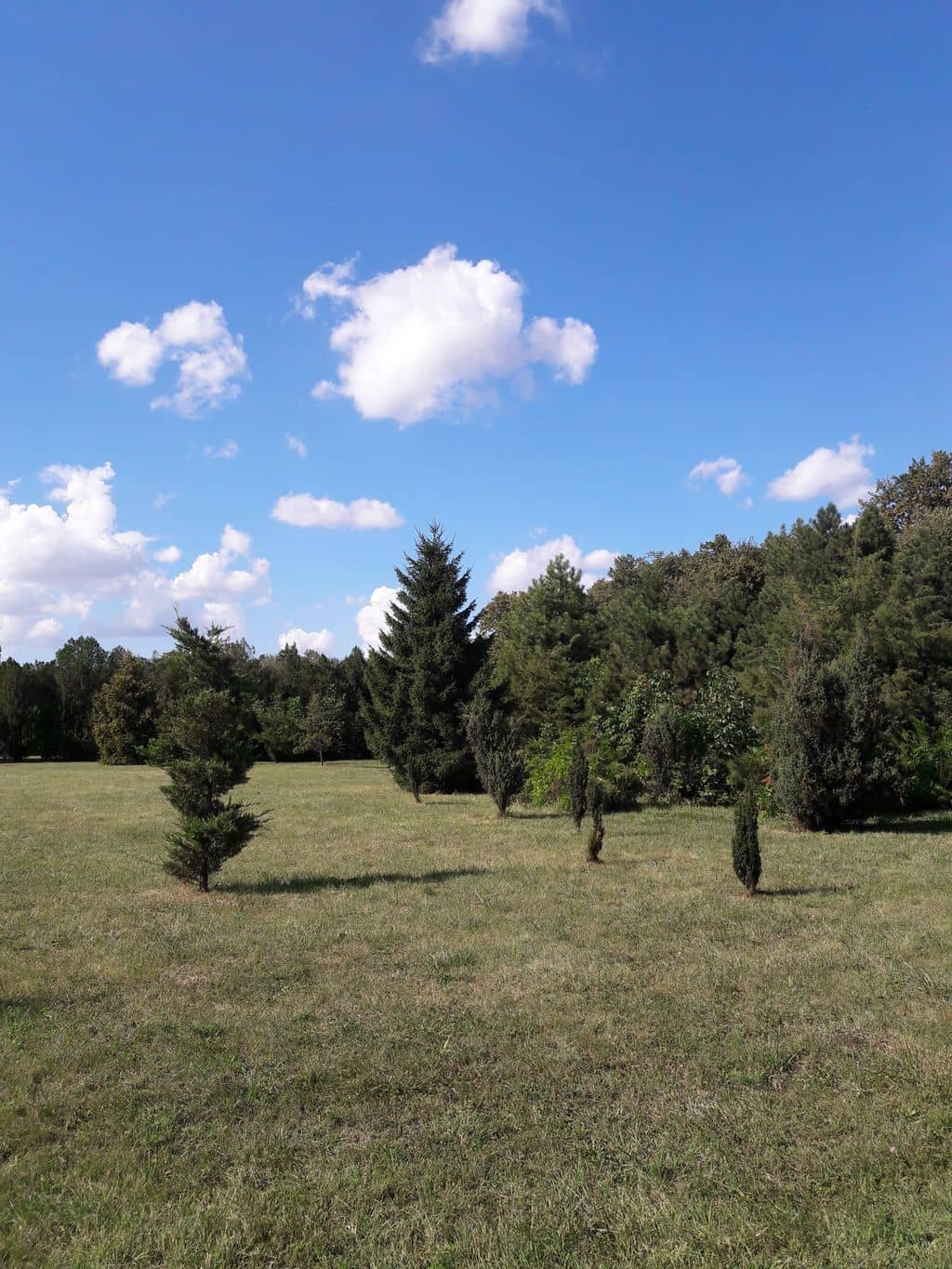 Outdoor Themed Gardens