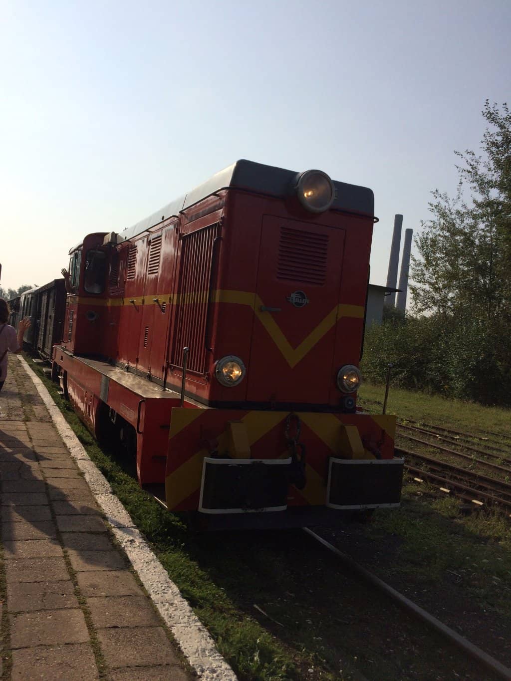 Open-Air Museum Exhibits