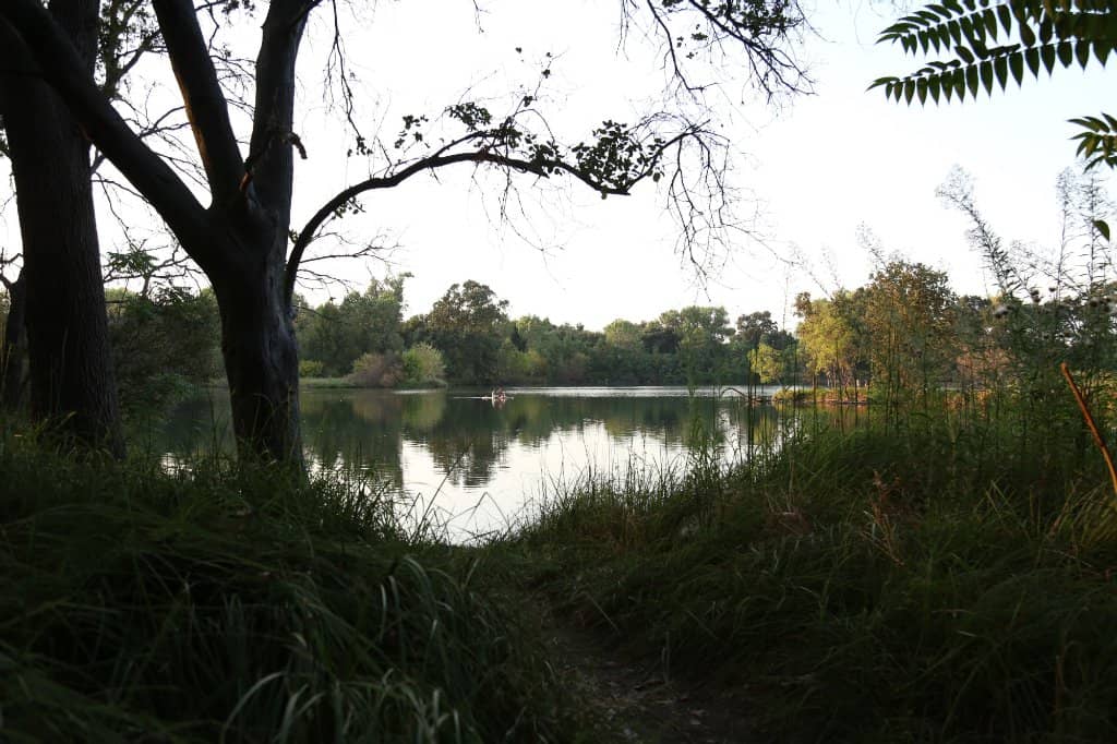 Waterfront Activities